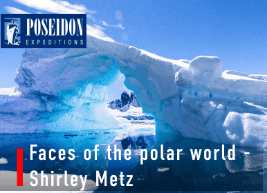 \\ Faces of the Polar World - Shirley Metz