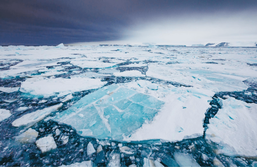 Snow Hill Antarctica: Where Sea Ice Shapes Discovery