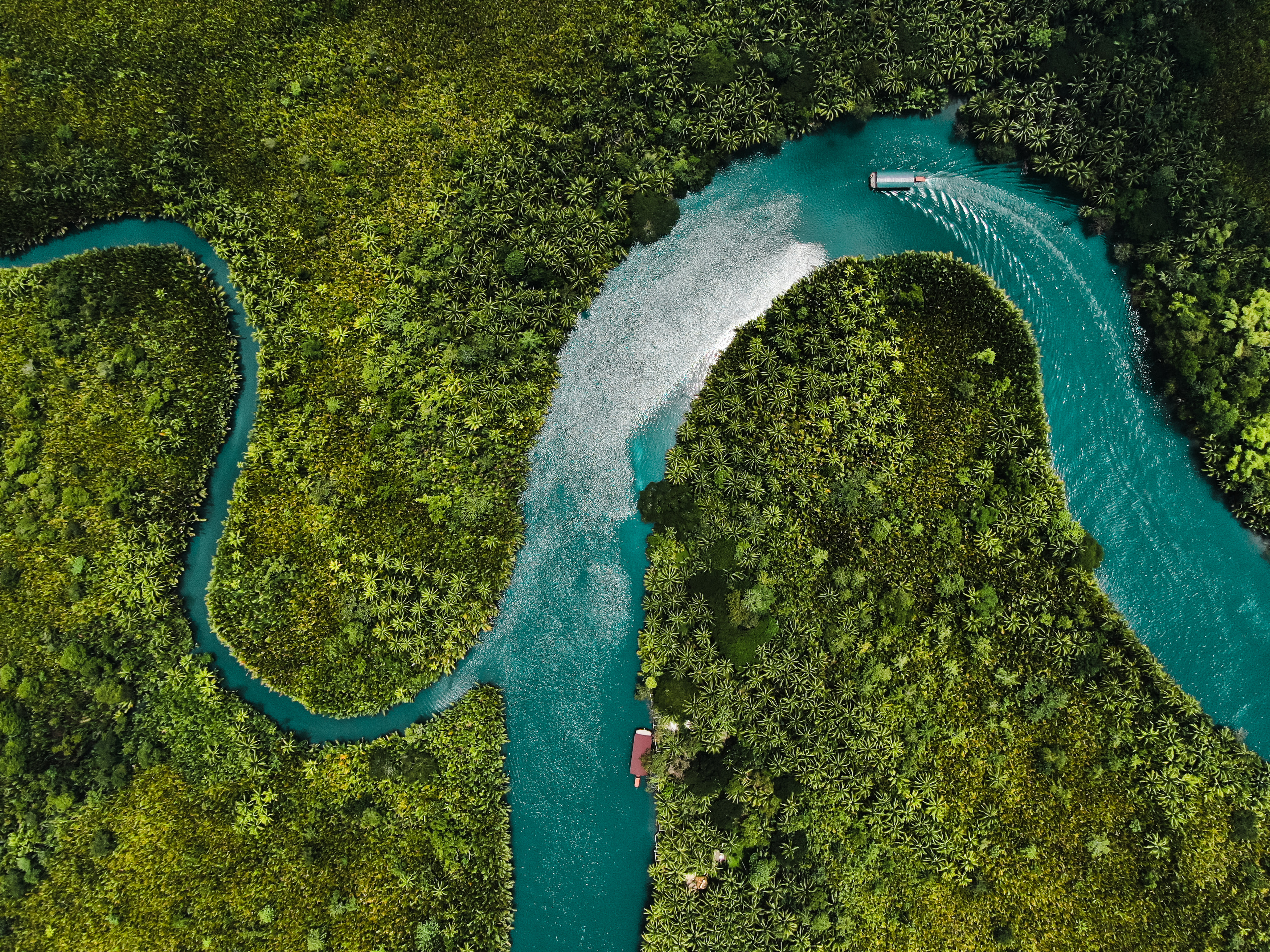 Expedition Brazil: From the Amazon Delta to Bahia Shores