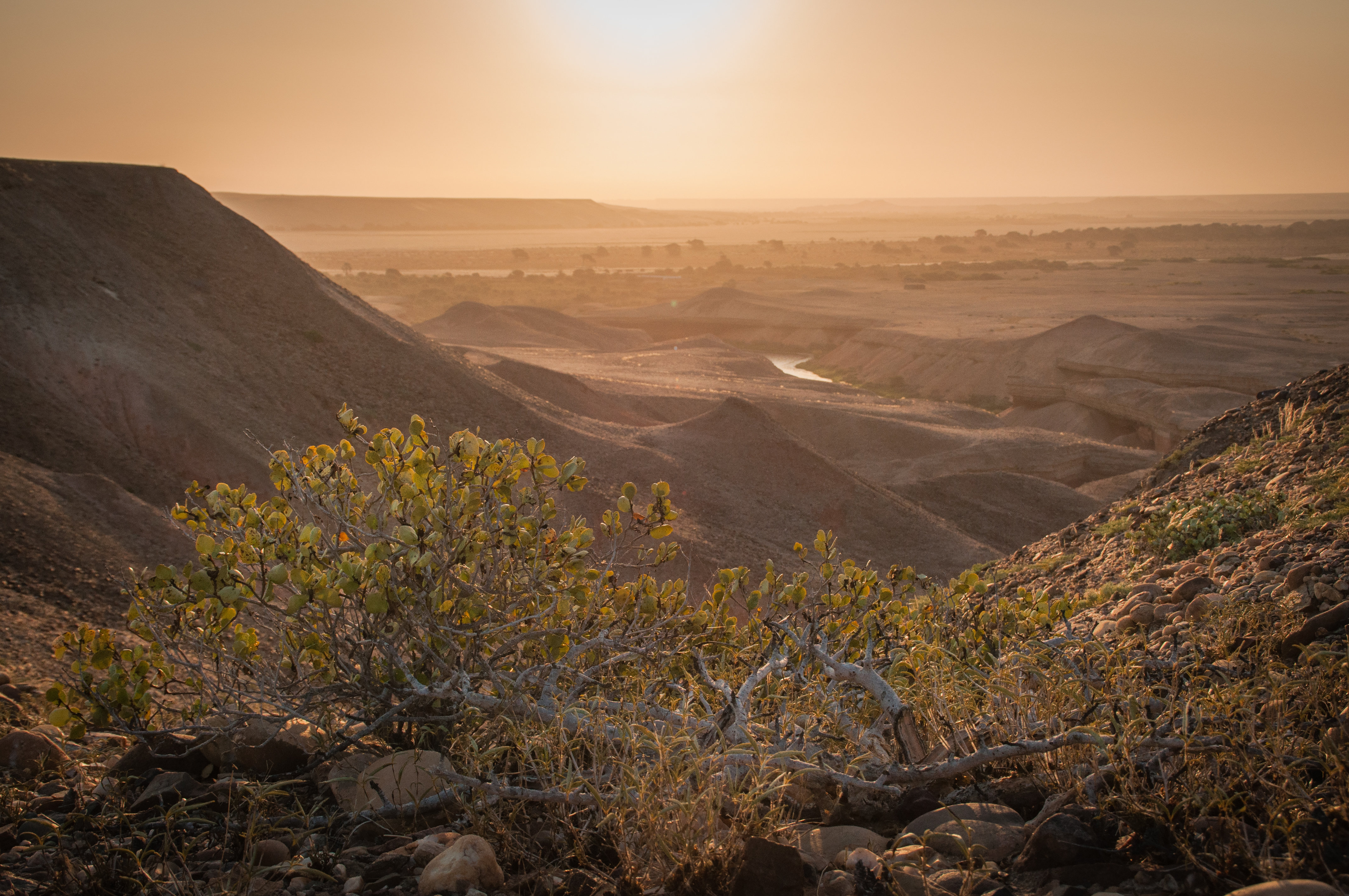 Cruising in Namibia: the Skeleton Coast