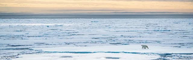 Spitsbergen Highlights: A Exploration of the High Arctic & the Polar Bear Kingdom