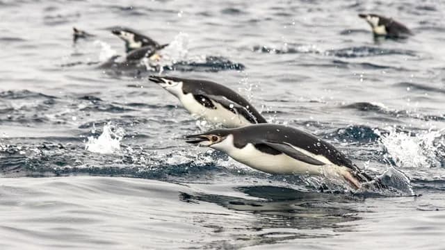 Crossing The Antarctic Circle