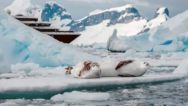 Antarctic Discovery