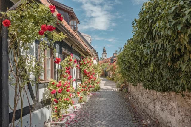 An Extended Journey from Norway’s Majestic Waterways to Baltic Treasures