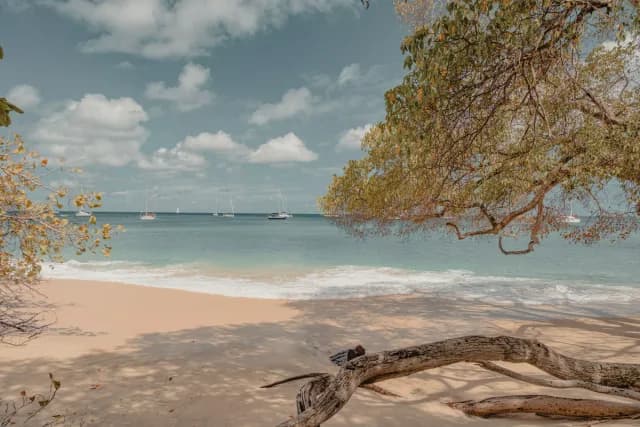 An Extended Journey from Ocean Calm to Vibrant Culture