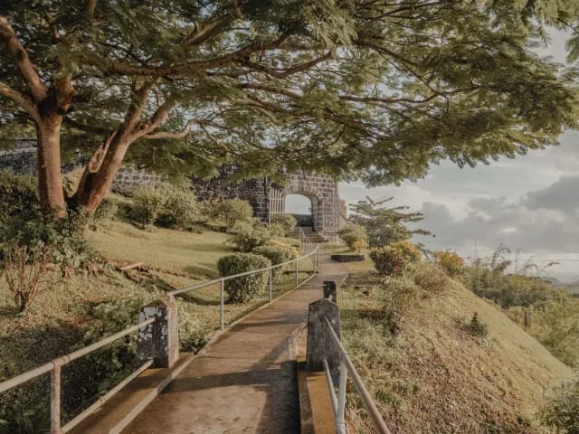 A Journey of Tranquil Harbours & Stunning Peaks