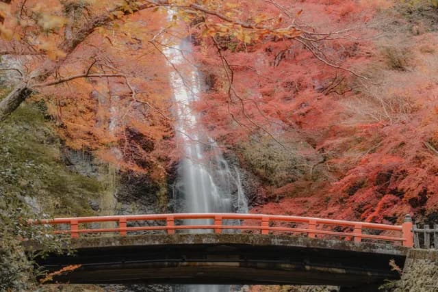 A Journey from Enchanting Skylines to Volcanic Shores