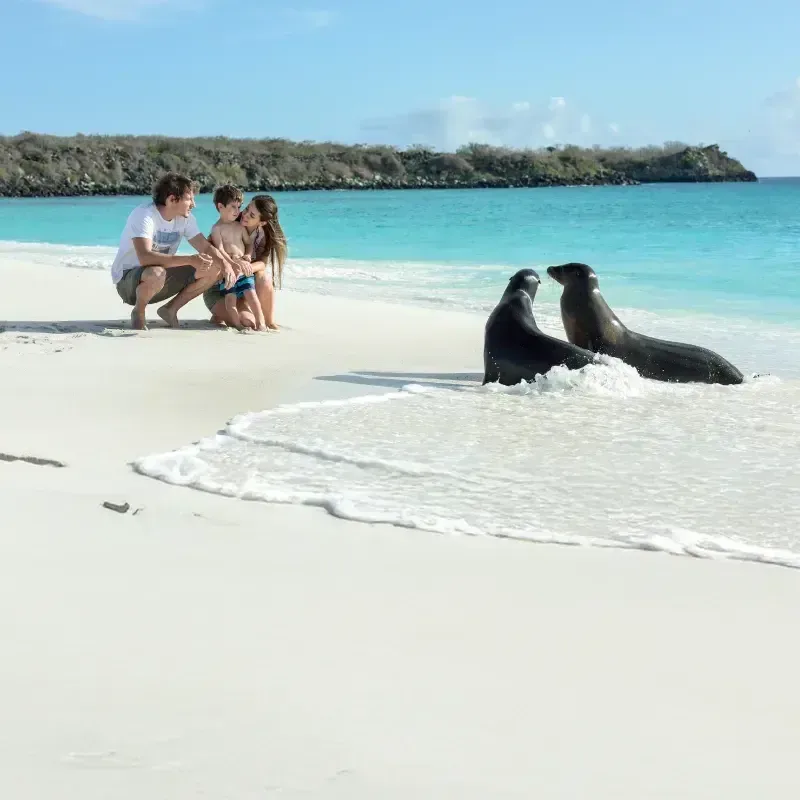 Galapagos family vacation: Why everyone loves the Galapagos