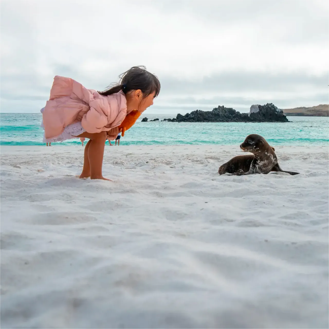 Galapagos With Kids: Family Travel Guide (Cost, Safety & Itinerary)