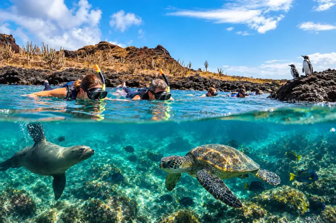 Galapagos snorkeling: the complete guide to snorkeling in the Galapagos Islands