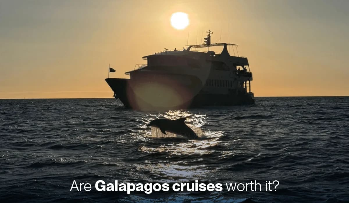 Is a Galapagos cruise worth it? An honest answer from an expedition operator