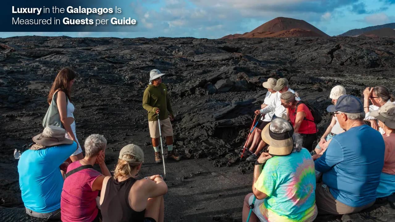 Galapagos Diving Liveaboard: What to Know Before You Go
