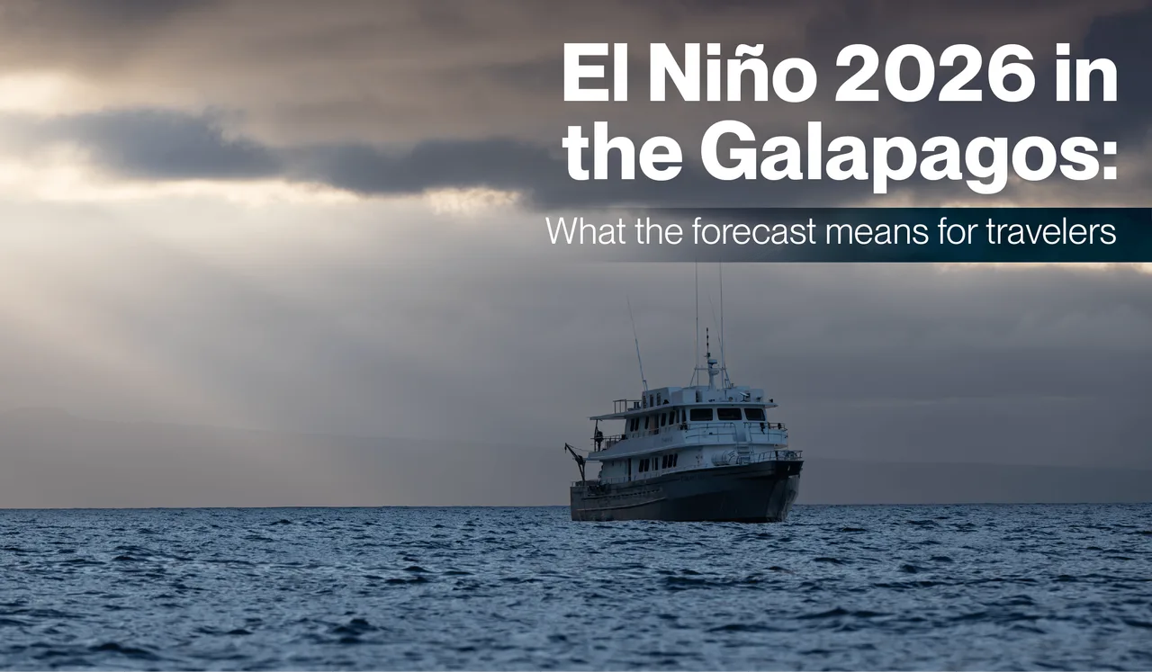 El Niño 2026 in the Galapagos: What the forecast means for travelers