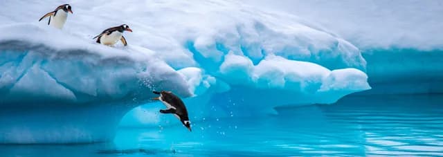 Antarctic Peninsula Expedition Cruise, Including South Shetland Islands