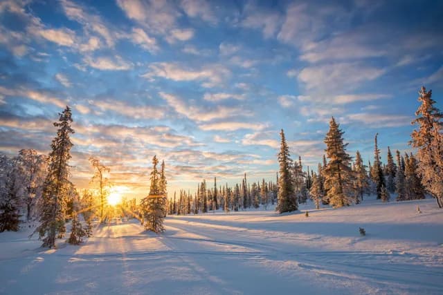 Winter adventure Lapland: Scandinavia's winter wonderland