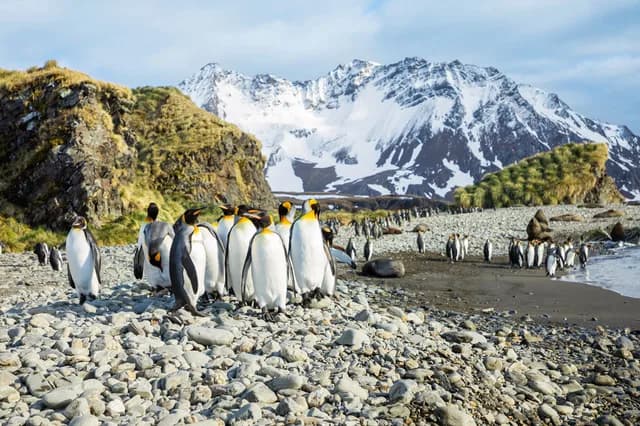 Expedition Antarctica: highlights first hand