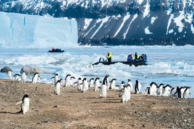 Expedition Antarctica: Weddell Sea intensive (Christmas cruise)
