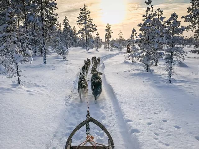 Winter adventure Lapland: Scandinavian terra incognita