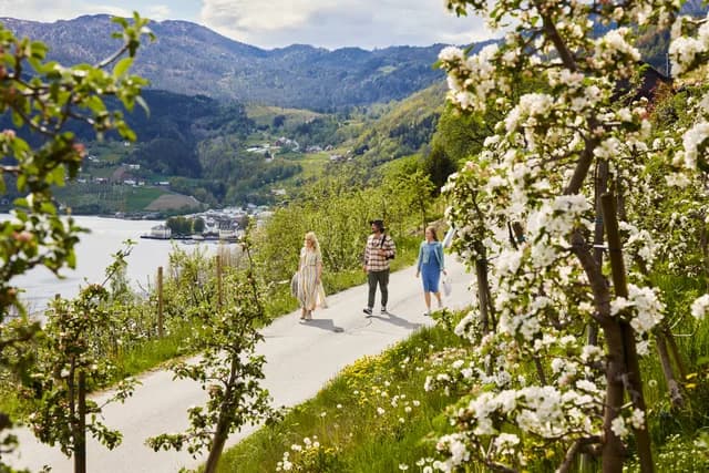 The Inner Fjords Explorer