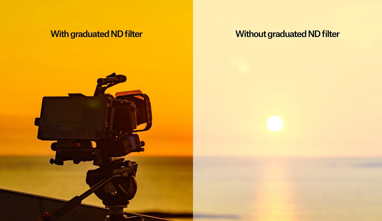 shutterstock_1976279792_filter