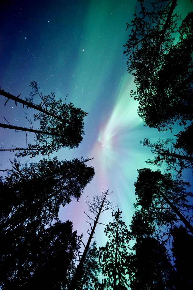 Follow the Northern Lights – Norway to Finland (Autumn 2027–Winter 2028)