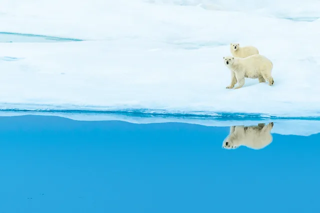Northwest Passage: Greenland to Alaska