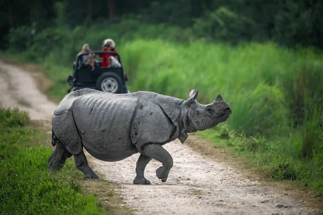 India Expedition: Kolkata, Kaziranga and the Brahmaputra River