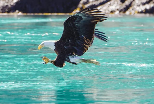 Alaska's Inside Passage, Endicott Arm and Prince Rupert