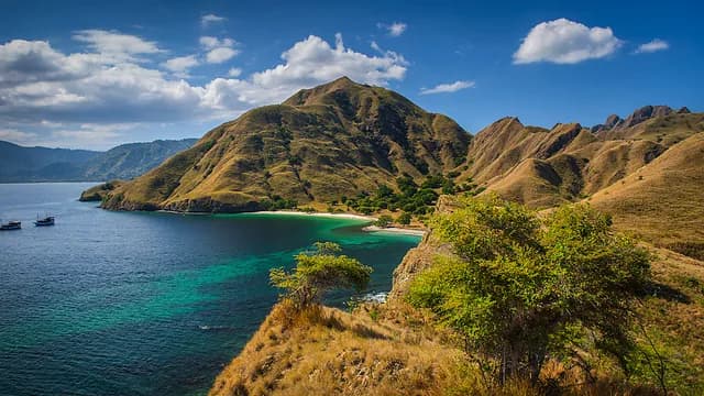 Odyssey in the heart of Japan’s subtropical islands