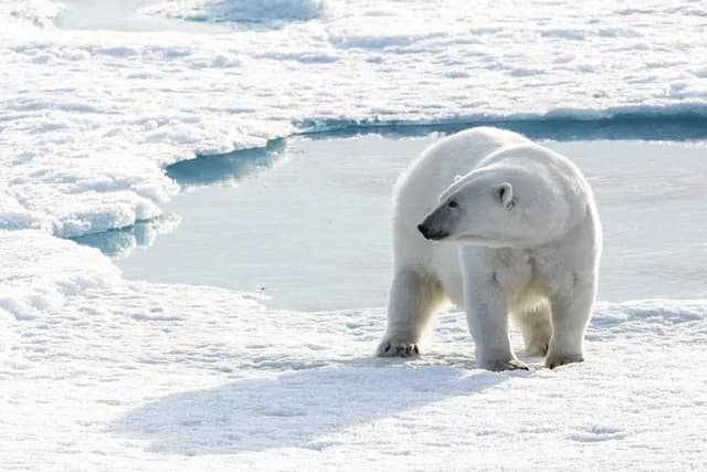 Northwest Passage: The Legendary Arctic Sea Route