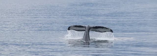 7-Day Alaska Glaciers, Canadian Inside Passage & Glacier Bay