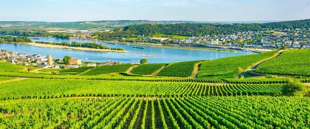 Romantic Rhine & Moselle with Amsterdam