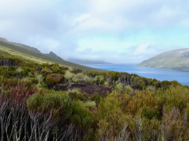 New Zealand in Depth