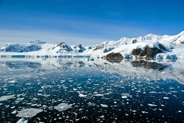 In Shackleton's Footsteps: Falklands, South Georgia and the Antarctic Peninsula