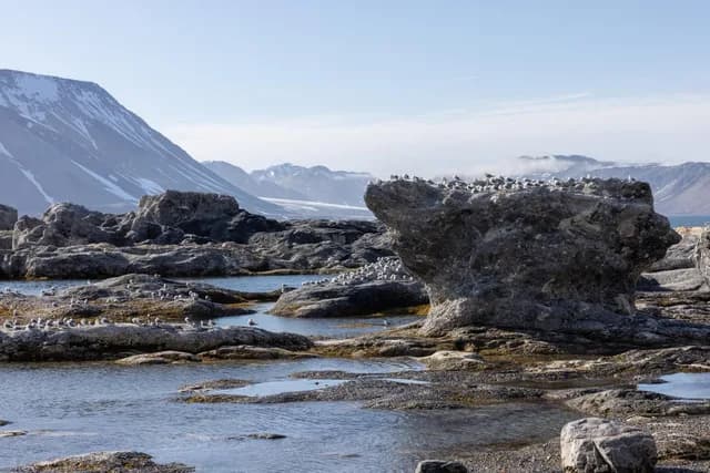 Discover Svalbard and the Norwegian Arctic: cruise from Tromsø to Longyearbyen