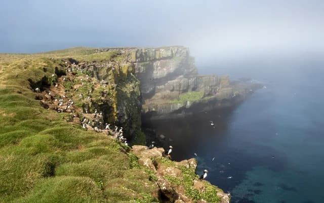 Iceland to Greenland roundtrip cruise