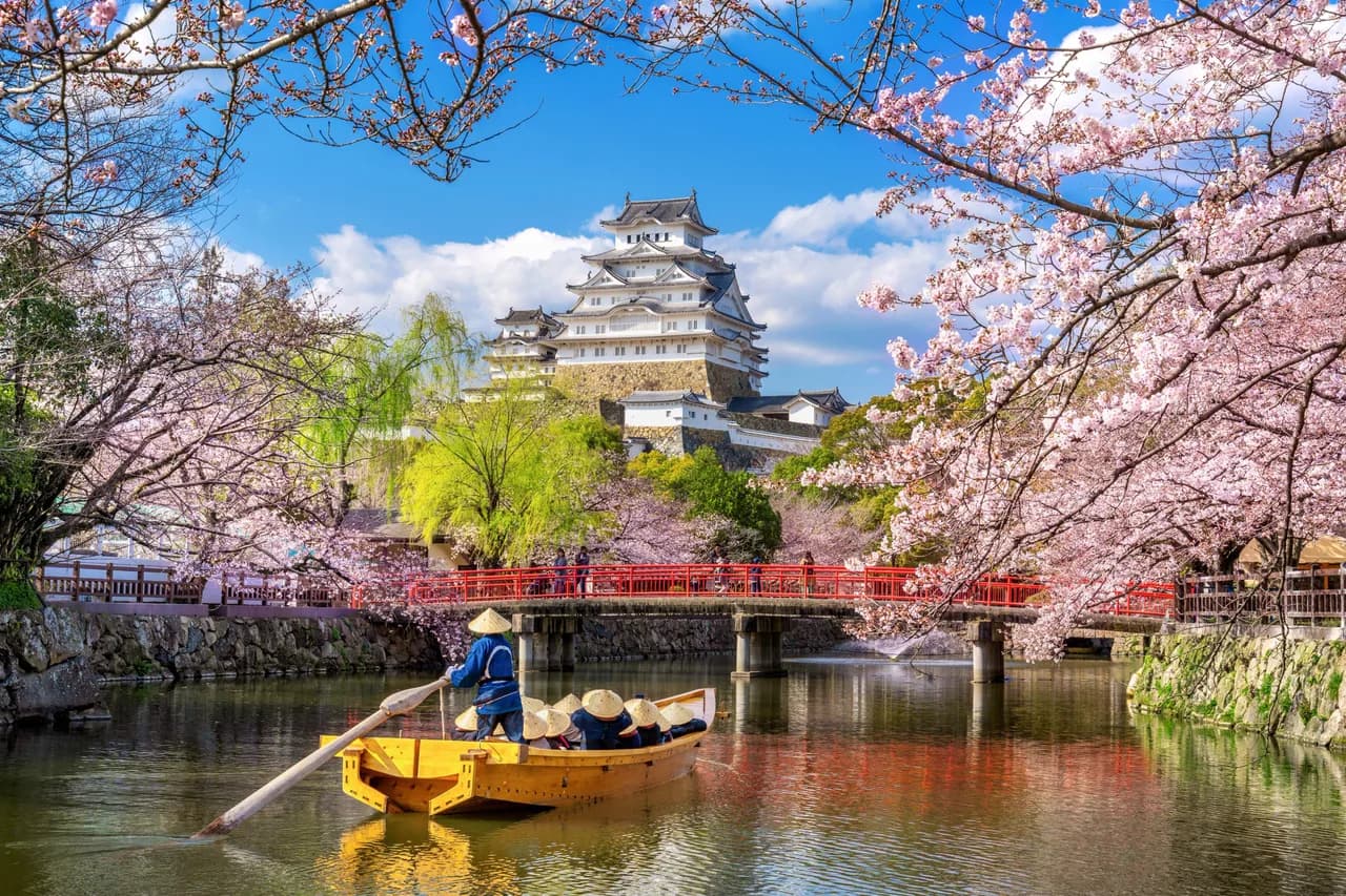 A scenic view of Himeji Castle in Japan during cherry blossom season.