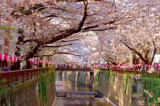 Tokyo to Tokyo
