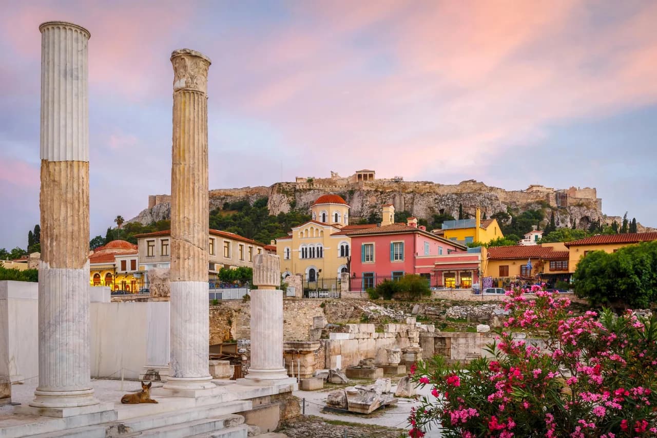 Beautiful bloom at Hadrian's Library in Athens, Greece.