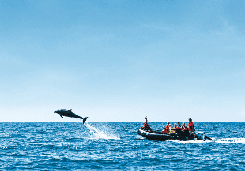 Channel Islands National Park to Baja California