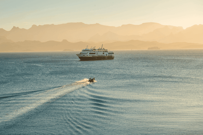 Baja California Discovery: Exploring Mexico’s Gulf of California