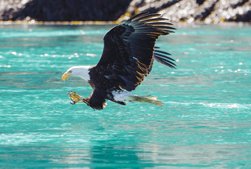 Alaska's Inside Passage, Endicott Arm and Prince Rupert