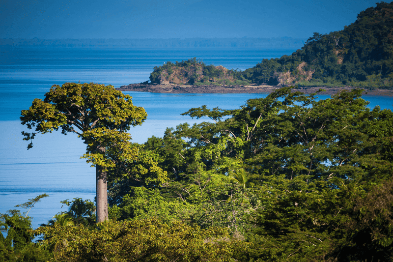 Panama and Costa Rica’s Pacific Coast: A Central America Odyssey