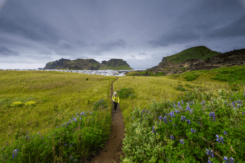 Wild Arctic Shores: Circumnavigating Iceland and Exploring Greenland