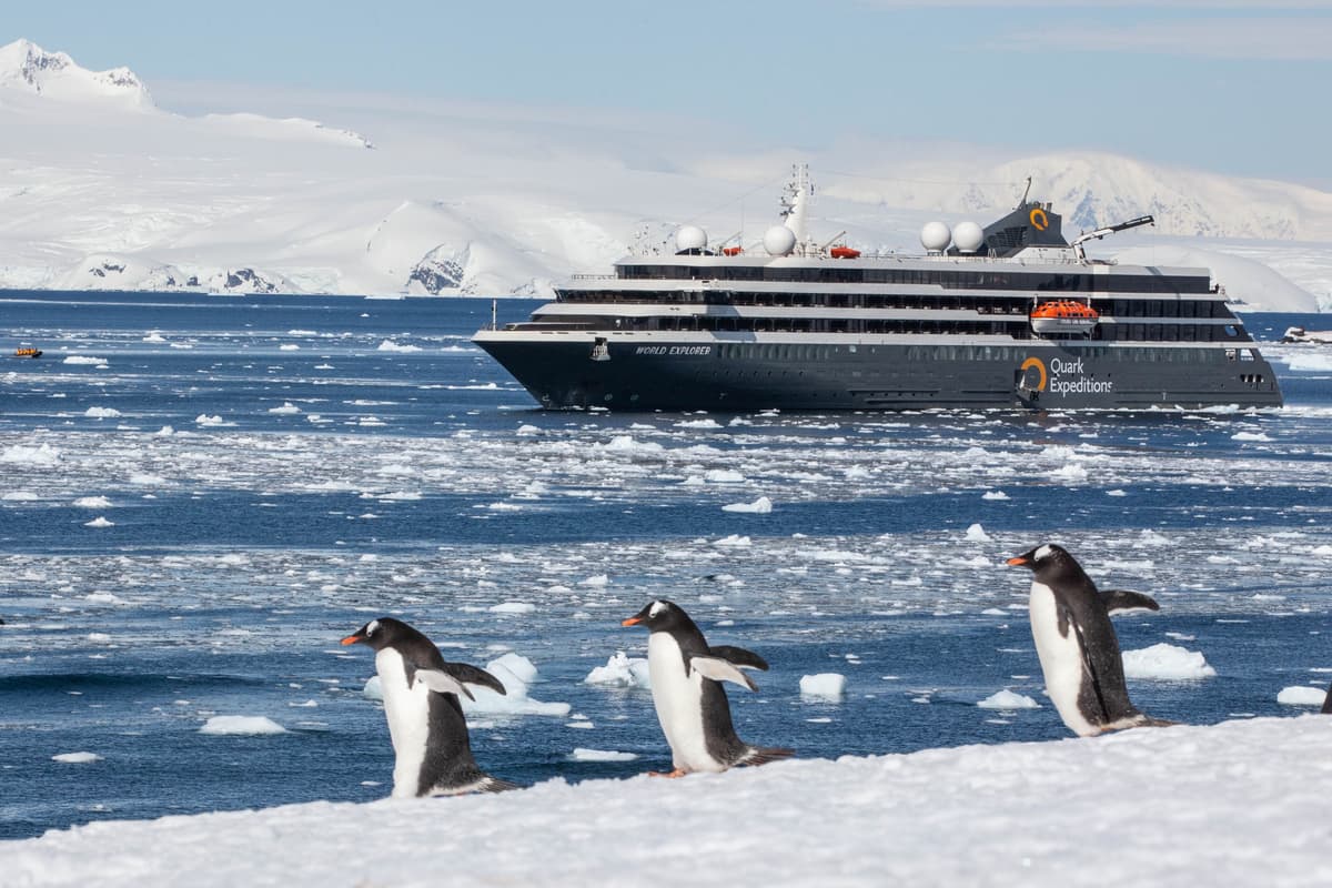 Antarctic Express: Sail South, Fly North