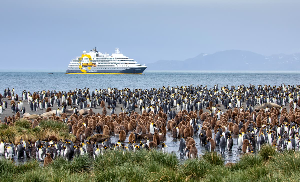 Falkland Islands and South Georgia: 20-Day Wildlife Adventure