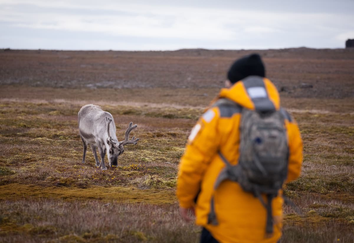 Spitsbergen Highlights: Wildlife Capital of the Arctic