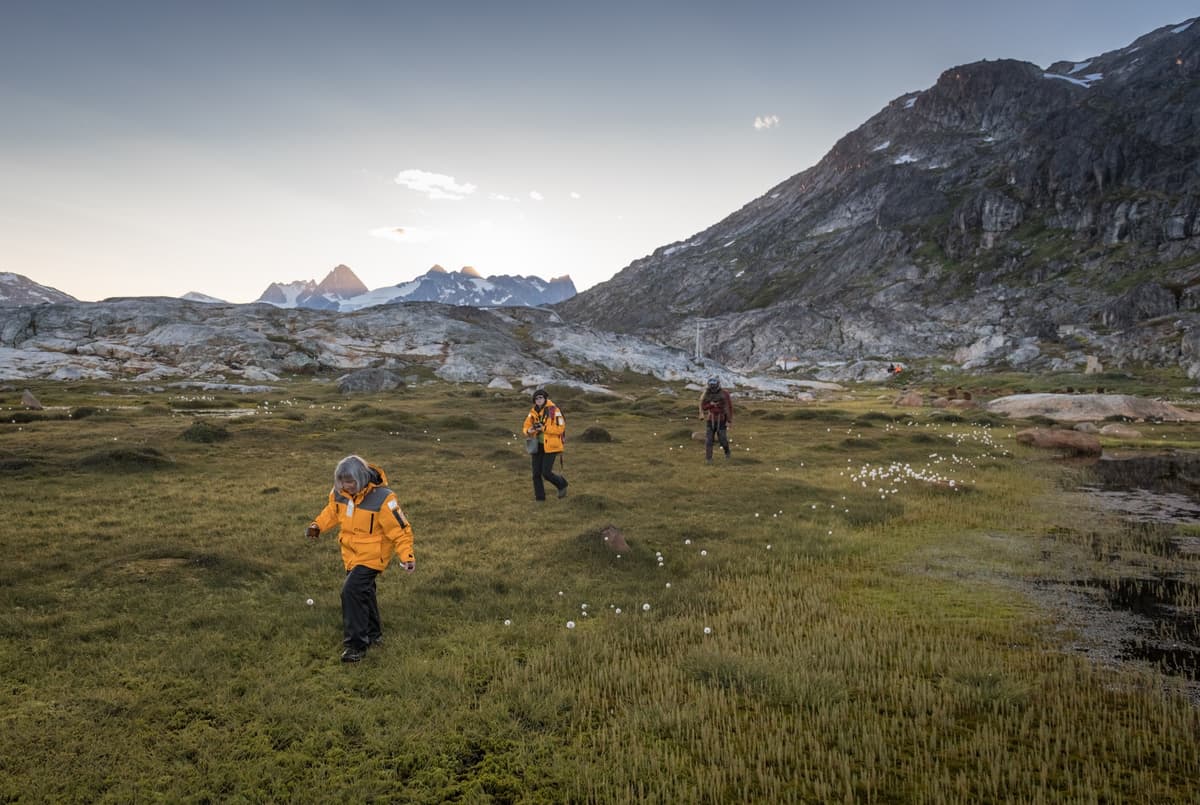 Southeast to West Greenland: Glaciers, Fjords and Viking History