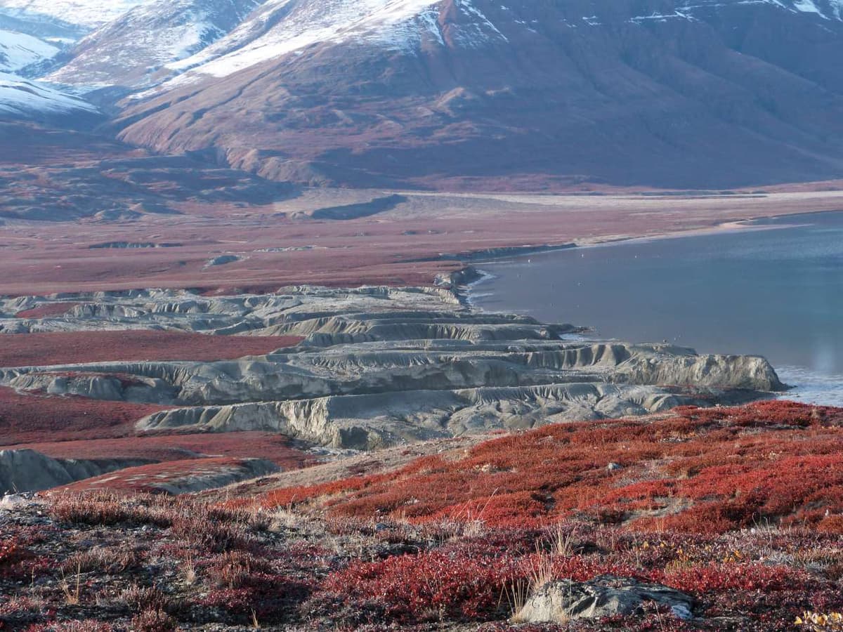 Northeast Greenland Solar Eclipse Explorer Voyage