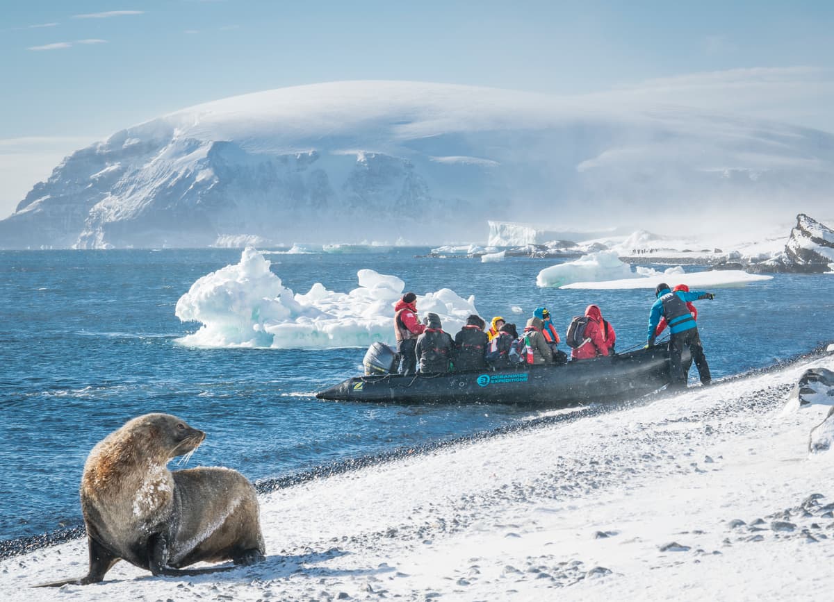 Falkland Islands - South Georgia - Antarctic Peninsula